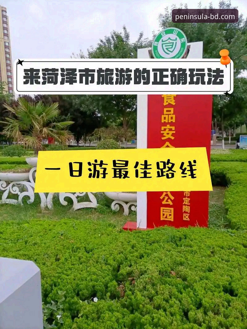 半岛官方网站登录 半岛官方网站登录入口与直接下载:哪个才是连接世界的更优路径?